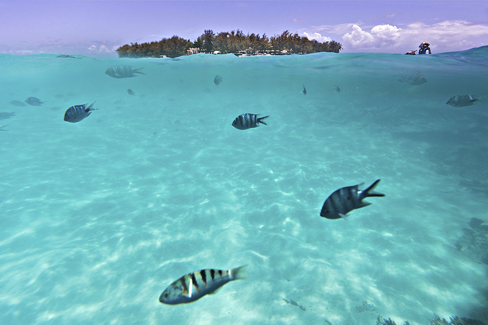 Blue Bay Beach (Credit: Ihsaan Adams Photography/ istock.com)